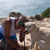 Vvst Employee Joerg Froehli's profile photo