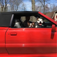 RDAbbott Employee Craig Lustek's profile photo