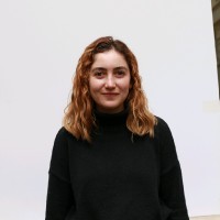 Ahisa Puebla Souza Email