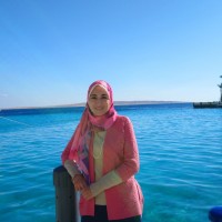 Lines & Visions Employee Nevine Fahim's profile photo