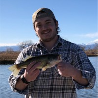 Andrew Bennett Email & Phone Number