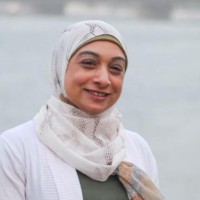 Mervat Mahmoud Email