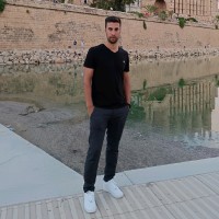 Simone Guarneri Email