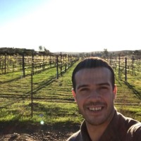 Francisco Gallego Email