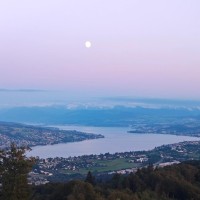 Stella McCarthy Email