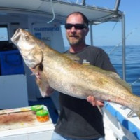 NCAHS Employee Kevin Allen's profile photo