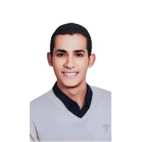 Fady Ashraf Email