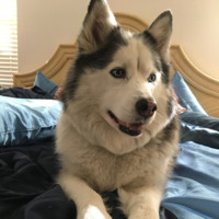 War Road Management & Music Employee Richard Reines's profile photo