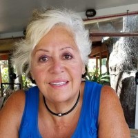 Carol Kemp Email & Phone Number