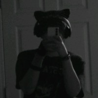 Lorikeet Corp Employee Ryan Wilke's profile photo