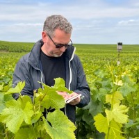 Morrell and Company Employee Jeremy Noye's profile photo