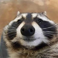 Monetary Gold Employee Ethan Vergara's profile photo