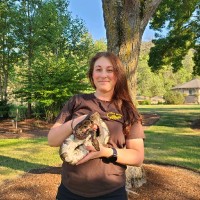 Wildlife Safari Employee Allison Yavor's profile photo