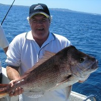 Need a Mortgage T/as GM finance Employee Greg Strachan's profile photo