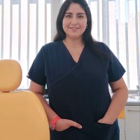 PDI- Policía de Investigaciones de Chile Employee Sofía Pardo Quintrecura's profile photo