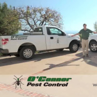 Kevin O’Connor Email & Phone Number