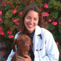 Del Norte Animal Hospital Employee Lidja Gillmeister's profile photo