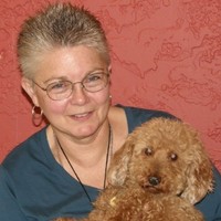 The Sanctuary for Senior Dogs Employee Deborah Workman's profile photo