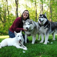 Acumenex.com Inc. Employee Kathy Davies's profile photo