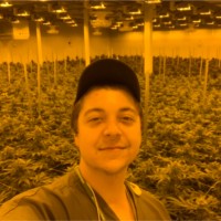 AMP (Atlantic Medicinal Partners) Employee Joshua Gorham's profile photo