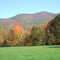 Brett Munson Email & Phone Number