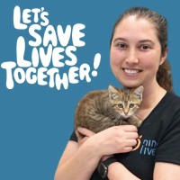Nine Lives Foundation Employee Clare Sugarman's profile photo