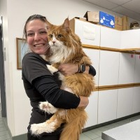 Goodison Veterinary Ctr Employee Jessica Helzer's profile photo