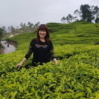 PT. Mitrasoft Infonet Employee Mina Ang's profile photo