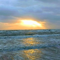 Marsha van Lanen Email