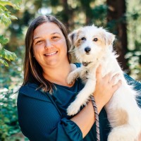 Pet Network Humane Society Employee Katie Millonzi's profile photo