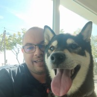 AKIO Employee Dimitri Lebel's profile photo