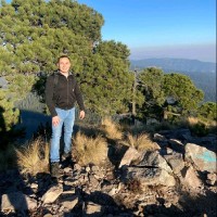 CANIFARMA Employee José Gross's profile photo