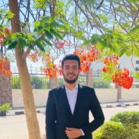 The Lean Employee Ahmed Tarek's profile photo