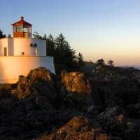 Angelia Sparks Email & Phone Number