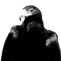 Patrick Michel's profile photo