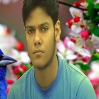 zikrak exim pvt.ltd. Employee Sartaj Khan's profile photo