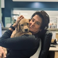 Australian Animal Protection Society Employee Megan Benton's profile photo