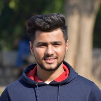 GrayOpus Technologies Employee Vishesh Pahwa's profile photo
