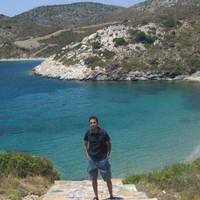 General Organization for Conservation of Coral Reefs and Turtles in the Red Sea - shams Employee Mohamed Negm's profile photo