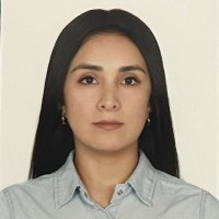 Litemode Employee Fiorella Carolina Morillo Méndez's profile photo