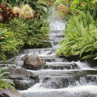 Lisa Powell Email & Phone Number