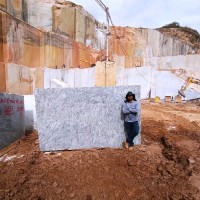 Pemagran Employee Tiago Careta's profile photo