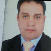 Ali Salam Email