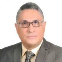 Apollo Tours Employee Osama Hanafy's profile photo