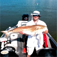 Matt Hartley Email & Phone Number
