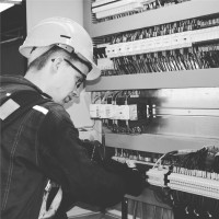 Tjeerd Hogendorf Email & Phone Number