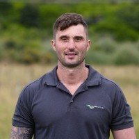 Dave Perry Email