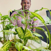 Orange SL Employee Augustine Williams's profile photo