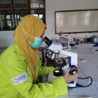 Andri Wahyuni Email