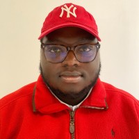 METALLIC INC. Employee Dare Balogun's profile photo